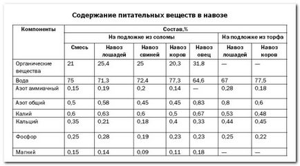 Разнообразието от домат за оранжерията