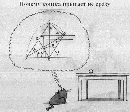 Тя мисли, че котката