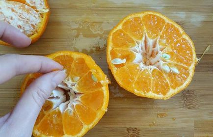 Как да се грижи за домакинството мандарини