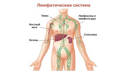 Възпаление на мишницата, която е