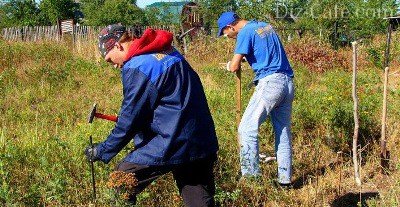 Огради от метални листове със собствените си ръце