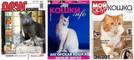 Списания с котки