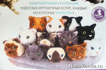 Списания с котки