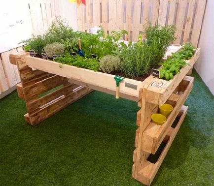 24 идеи за създаване на мини-градина у дома