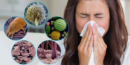 Алергия към домашен прах - симптоми и лечение на алергия към домашен прах