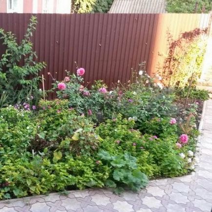 Алпийски слайд си ръце снимки, видео, създаване на диаграми (алпийски) Alpine се плъзга си ръце снимки, видео, създаване на диаграми