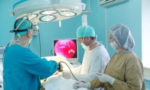бъбречна angiomyolipoma - какво е това, причината и симптомите на болестта (angiomyolipoma) бъбречна angiomyolipoma - какво е това, причината и симптомите на болестта е