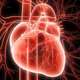 Атипични форми на инфаркт на миокарда - Симптоми, Диагностика