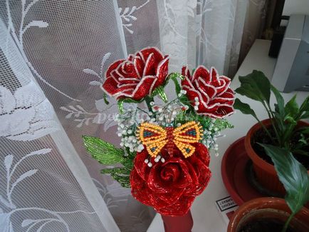 Butterfly на перли (мъниста Master-клас стъпка по стъпка) Butterfly топчета