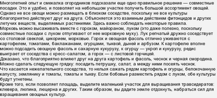 Това могат да бъдат засадени след доматите, които могат да бъдат засадени след доматите