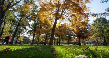 Какво е arboretums и ботанически градини