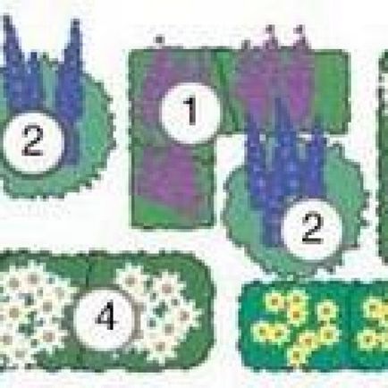 Цветя за цветни лехи, трайните насаждения