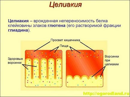 Диагностика, лечение и профилактика на болестите 