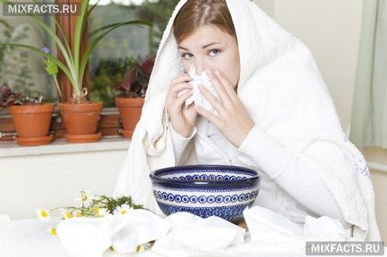 Домашни вдишване на студен и кашлица, с които да се направи инхалация инхалатор и двойка