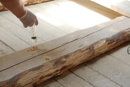 Carpenter, как да се отървете (RID) Carpenter, как да се отървете