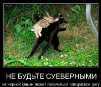 Фил къщи за котки (котки) Фил къщи за котки