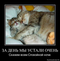 Фил къщи за котки (котки) Фил къщи за котки
