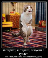 Фил къщи за котки (котки) Фил къщи за котки