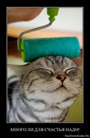 Фил къщи за котки (котки) Фил къщи за котки