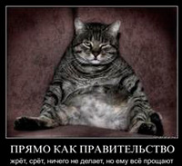 Фил къщи за котки (котки) Фил къщи за котки