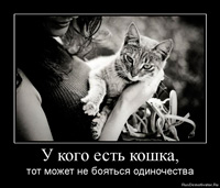 Фил къщи за котки