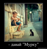 Фил къщи за котки (котки) Фил къщи за котки