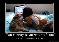 Фил къщи за котки (котки) Фил къщи за котки