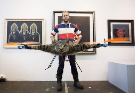 Холандецът направи хеликоптер от пълнени си котка