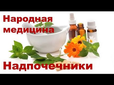 Хормони в надбъбречната кора медула