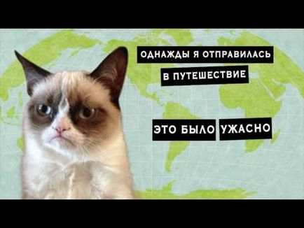 Гръмпи котка, memepedia (сос тартар) Гръмпи котка, memepedia