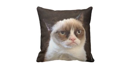 Гръмпи котка, memepedia (родители ядосан котка) Гръмпи котка, memepedia