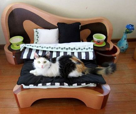 Идеи как да се диван за котката или котката със собствените си ръце - котка в къщата