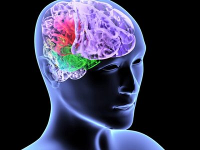 мозъчна исхемия какво е, симптоми и лечение ефекти, степента, колко живо