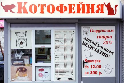 Кафе с котки в Москва