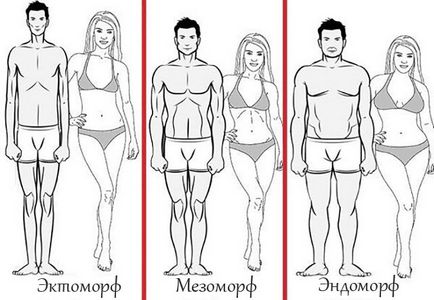 Какви са различните видове тялото и техните характеристики