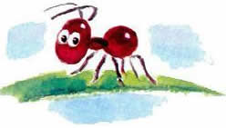 Както мравката побърза да дом - четете онлайн приказка - Bianki Виталий