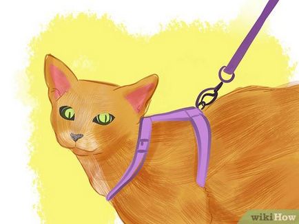 Как да се осигури балкон за котки