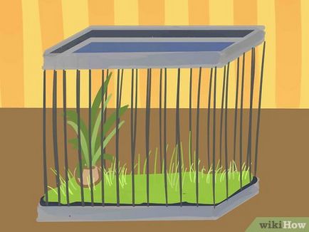 Как да се осигури балкон за котки