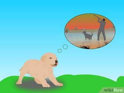 Как да си дресираш ловно куче
