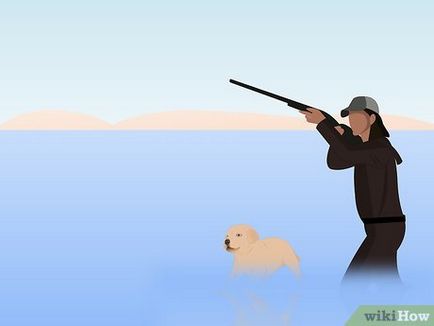 Как да си дресираш ловно куче