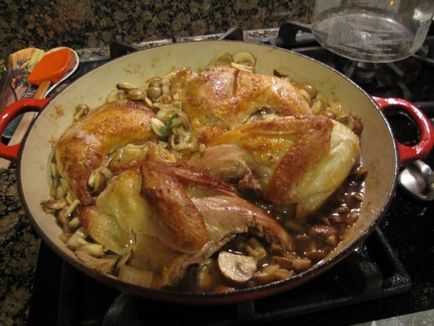 Как да се хване и се готви фазан