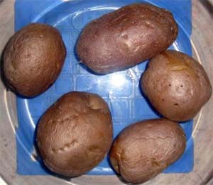 Как да готвя картофи технология на изготвяне на прости ястия