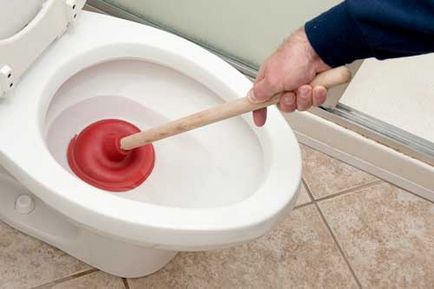 Как да се чисти тоалетната сами по себе си у дома