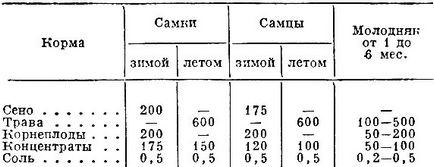 Как да се засадят и да растат нутрии (рок) Как да се засадят и да растат нутрия