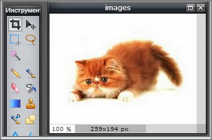 Как да направите от съответния фон прозрачен без Photoshop как да правят пари онлайн (съвети за начинаещи) Как да направите от съответния фон прозрачен без Photoshop как да правят пари онлайн
