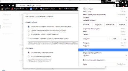 Как да изтриете бисквитка Chrome, Firefox, Opera и т делничните дни за техническа поддръжка (изтриване на бисквитки Chrome) Как да изтриете бисквитка Chrome, Firefox, Opera и т делничните дни за техническа поддръжка