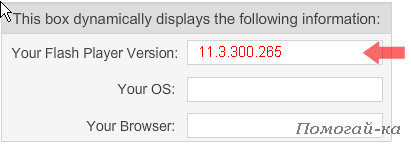 Как да инсталирате Flash Player (как да инсталирате Flash Player) Как да инсталирате Flash Player