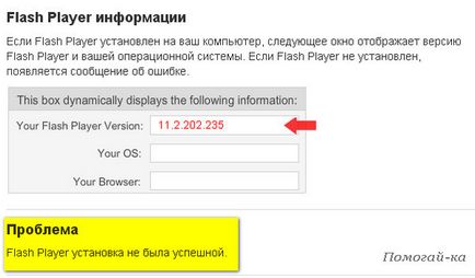 Как да инсталирате Flash Player (как да инсталирате Flash Player) Как да инсталирате Flash Player