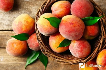 Как да расте праскови (праскова растение е необходимо) Как да расте праскови