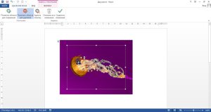 Както и в един модел Word промяна (на Word номер) Как да редактирате картина в Word